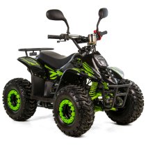 BIGFOOT 001 XTR QUAD 110 (2)