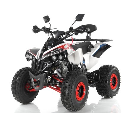 Quad ASIX Motors Avenger 125-31