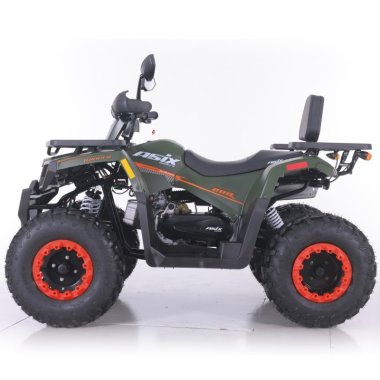 quad-asix-ranger-250cm3 (10)