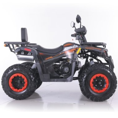 quad-asix-ranger-250cm3 (14)