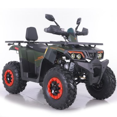 quad-asix-ranger-250cm3 (6)