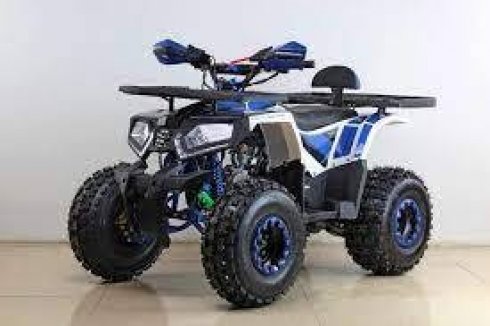 barton-t-rex-125cm-04