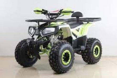 barton-t-rex-125cm