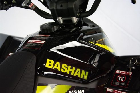 quad-bashan-xone-250-15