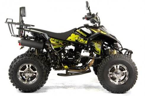 quad-bashan-xone-250-41