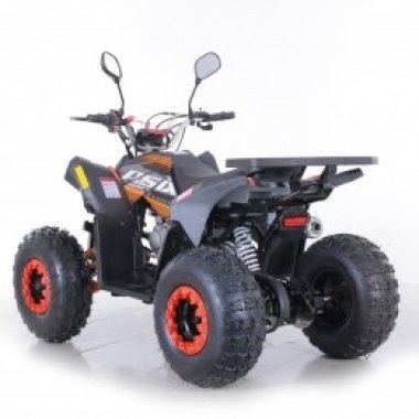 quad-asix-coyote-125cm3 (31)