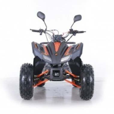 quad-asix-coyote-125cm3 (34)